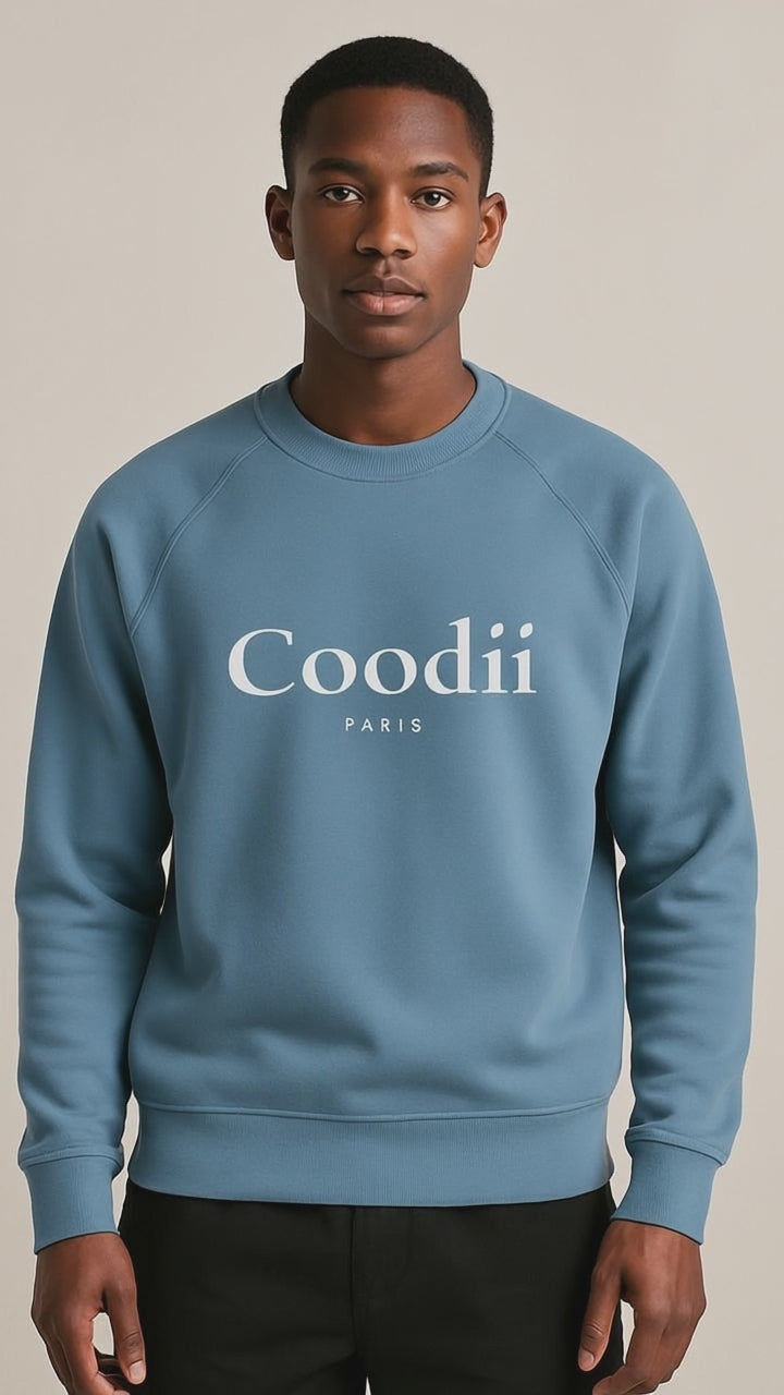 PULL HOMME - BLEU ICE